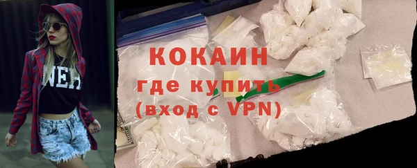 гидра Арсеньев