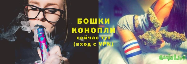 гидра Арсеньев