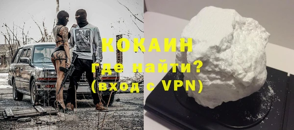 гидра Арсеньев