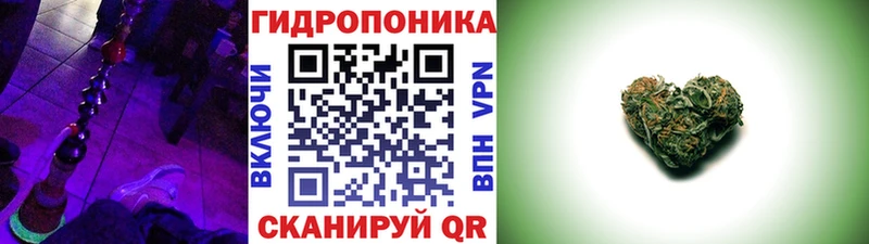Конопля Amnesia Новосиль