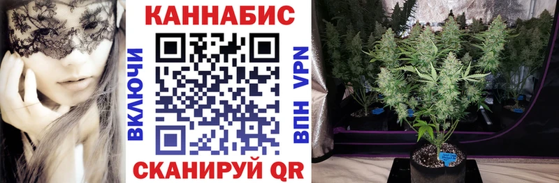 Каннабис SATIVA & INDICA  сколько стоит  Новосиль 